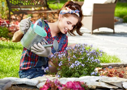 Gardener Westminster team maintaining a lush lawn