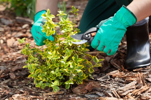 Garden clearance work showing bags of green waste ready for removal