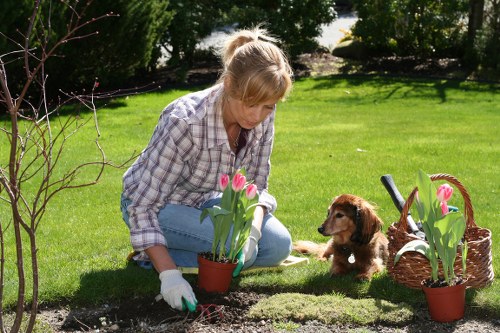 Lone gardener conducting routine garden maintenance with PPE
