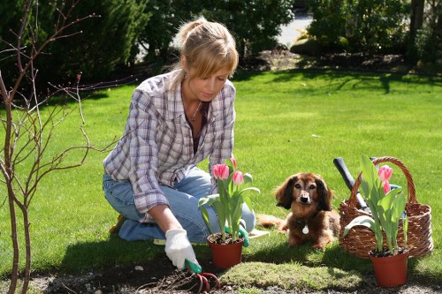 Gardener inspecting plants during a quality review