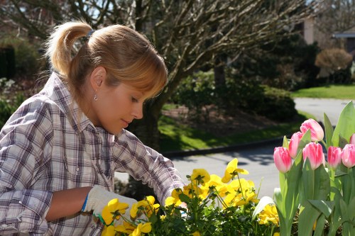 Sustainable garden featuring native plants in Westminster